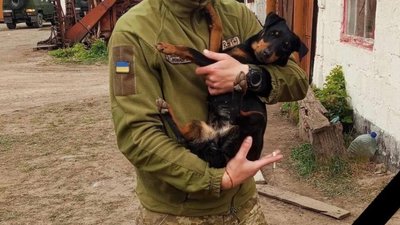 Мостиська втратила молодого захисника