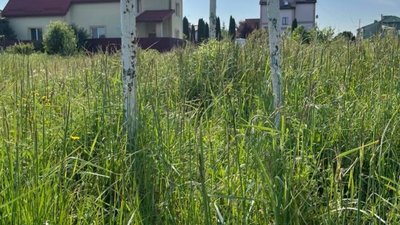 У Білогорщі дитячий майданчик заріс травою