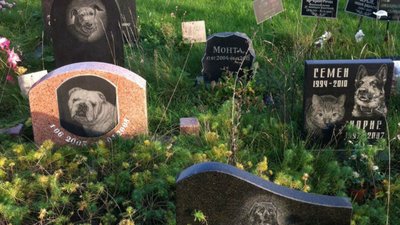У Львові пропонують облаштувати цвинтар для домашніх тварин