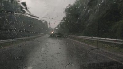 На трасі "Львів - Самбір" впало дерево (ФОТО)