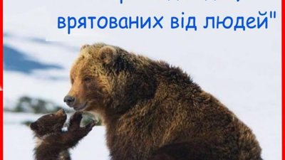 На Львівщині стартує новий освітній ZOO-проект «Привіт, Ведмедику!»