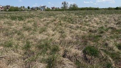 У Львові на аукціон виставлять три земельні ділянки