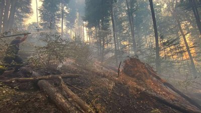 Рятувальники ліквідовують масштабну пожежу в Карпатах (ФОТО, ВІДЕО)