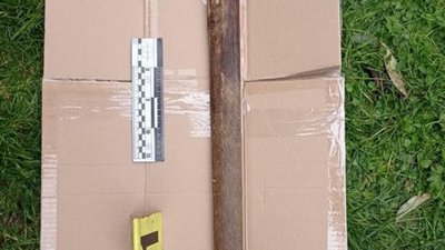 Підозрюваний у вбивстві закарпатця знаходиться під вартою