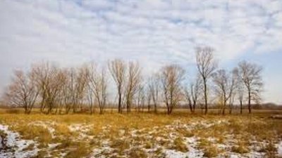 Погода: тиждень перед Новим роком буде теплим
