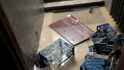 У Львові у будинку прорвало опалення (ВІДЕО)