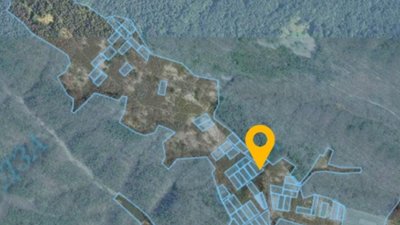 У Яворівському національному парку продають 3 га землі під курорт