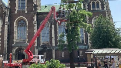 У Львові біля Костелу Ольги та Єлизавети обрізають дерева (ФОТО)