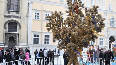 Різдвяного Дідуха встановлять у Львові в переддень Різдва