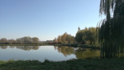 З 1 листопада на Львівщині заборонений вилов риби у зимувальних ямах