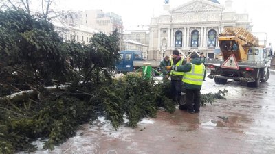 У Львові демонтували центральну ялинку