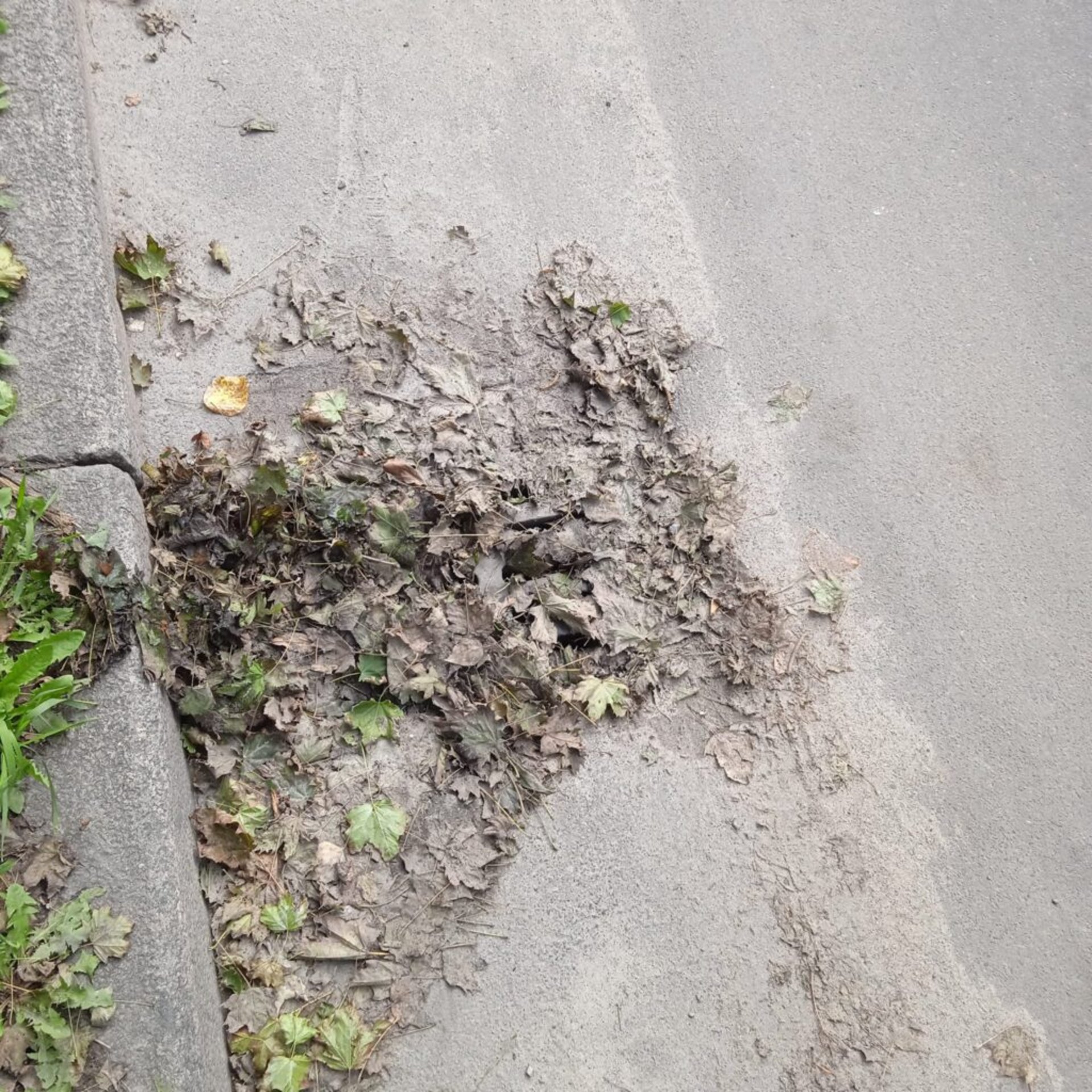 У Львові не чистять дощоприймачі