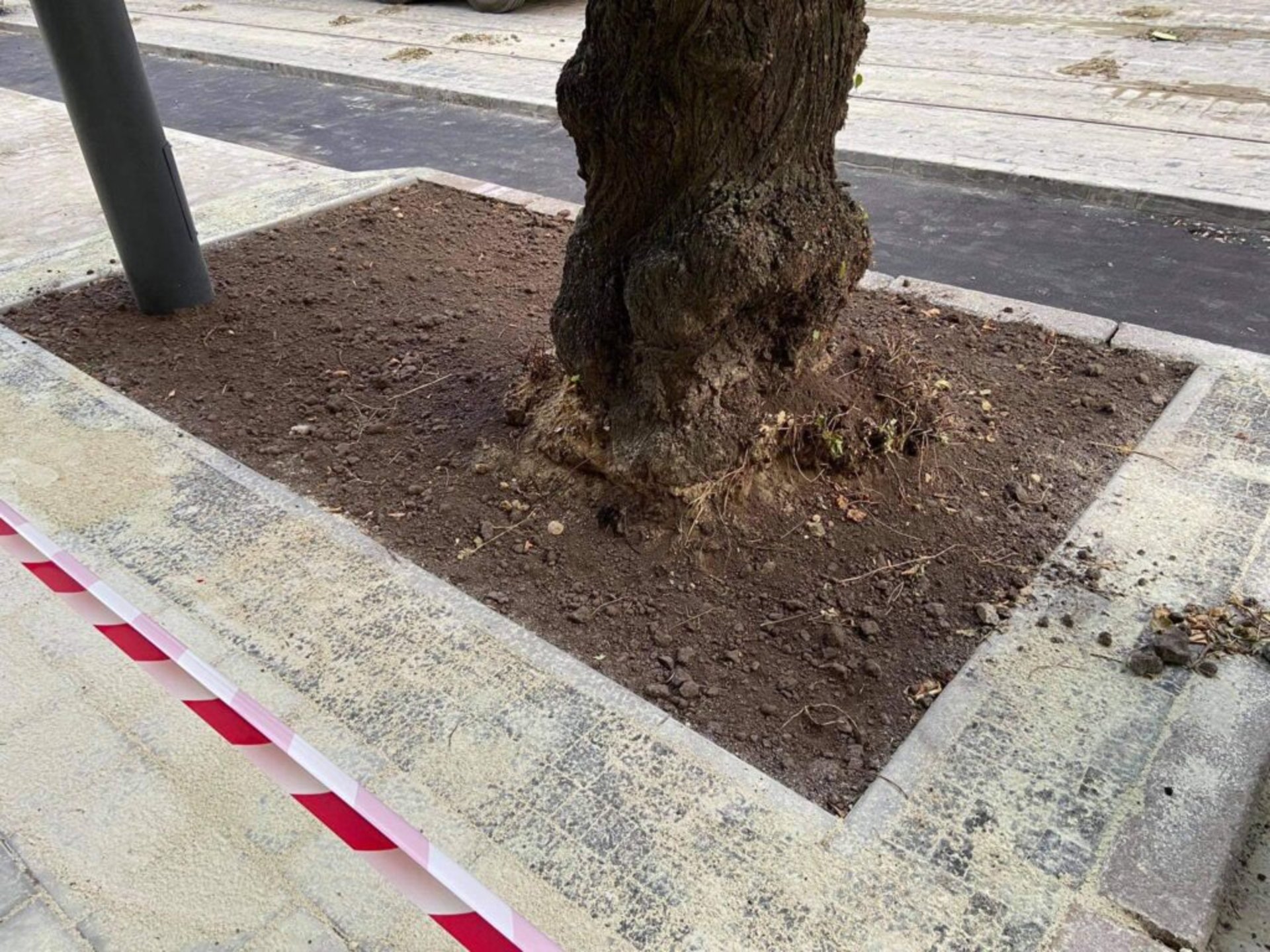 Вулиця Степана Бандери. Фото Зручне місто