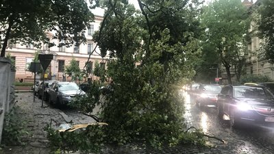 У Львові через негоду зупинився електротранспорт (ВІДЕО)