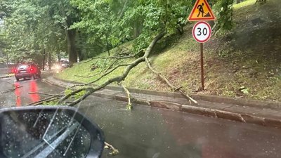 У Львові частково зупинився рух електротранспорту