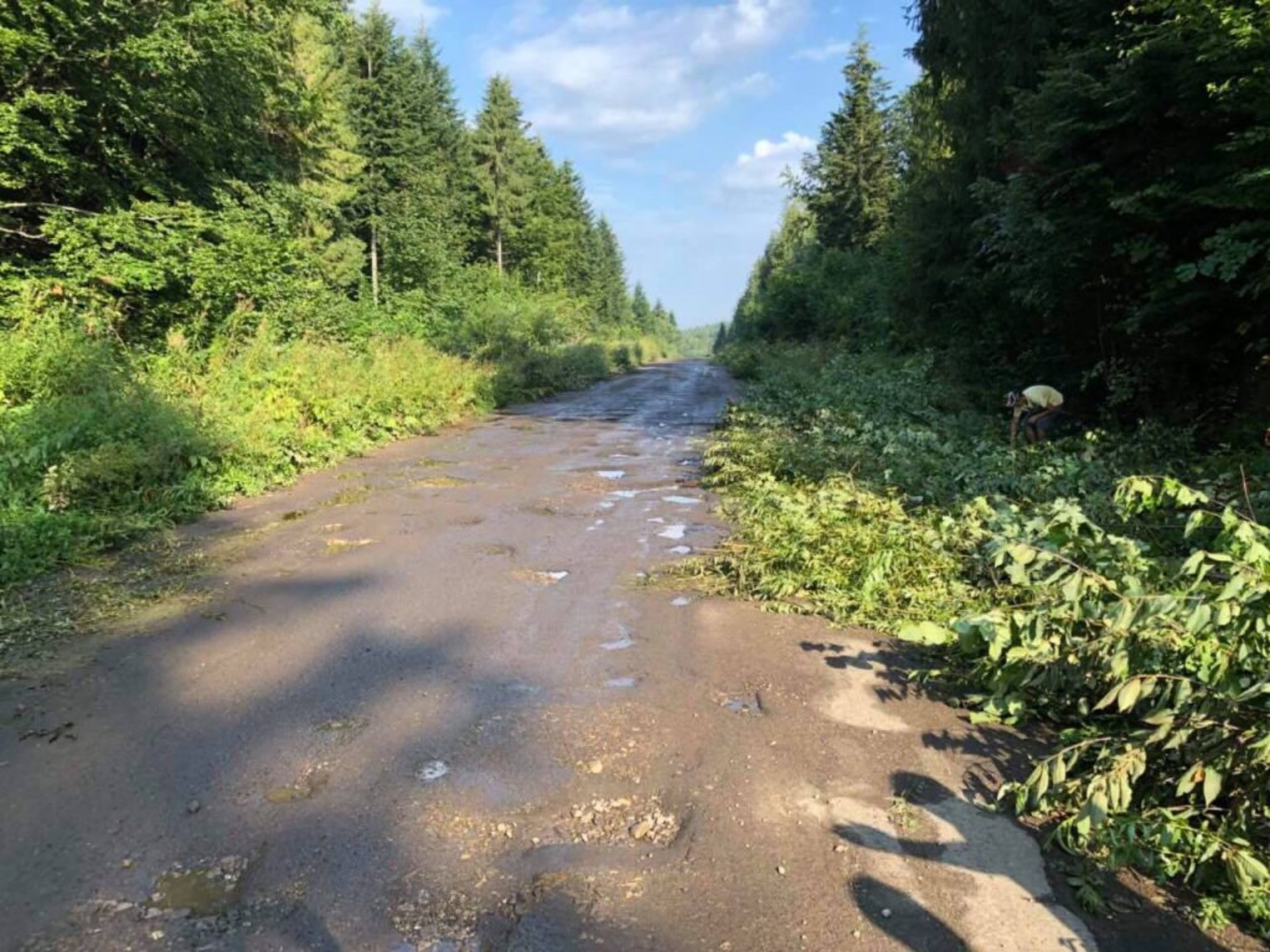 Синютка оглянув дороги на Дрогобиччині
