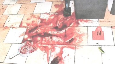 Вбивство подружжя біля Лопатина: подробиці справи