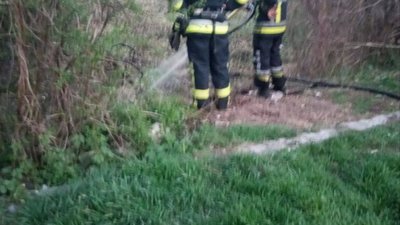 На Львівщині на Великдень підпалили суху траву
