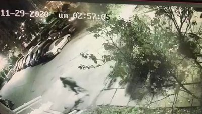 У Києві кинули гранату в офіс однієї з партій