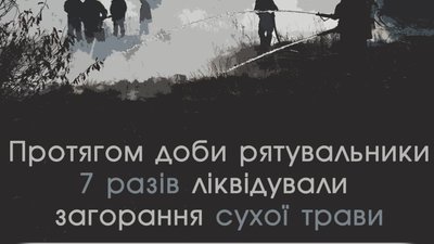 Протягом доби на Львівщині ліквідували 7 пожеж сухої трави