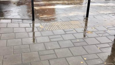 У Львові в улюбленому районі Садового затоплює пішохідний перехід (ФОТО)