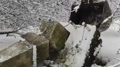 У селі Зимівки Трускавецької громади демонтували пам’ятник радянської епохи (ВІДЕО)