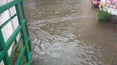 Комунальні служби Садового проведуть обстеження і прочистку дощоприймачів