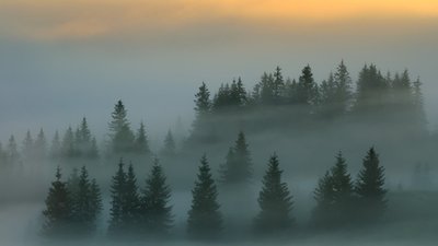 Завтра в Україні туманно