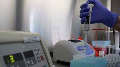 У Львові безкоштовний ПЛР-тест на коронавірус роблять у чотирьох лабораторіях