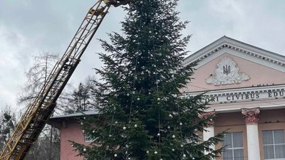 На Львівщині обікрали ялинку