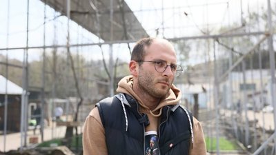 Підтримати Домівку: на вихідних у Домівці врятованих тварин відбудеться мегаярмарок