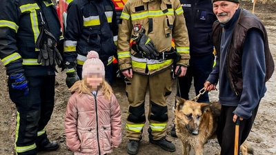 У Львові собака впав у глибоку яму