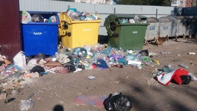 У Бориславі декілька місяців не вивозять сміття (ФОТО)