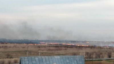 У Пустомитах горять поля (ФОТО)