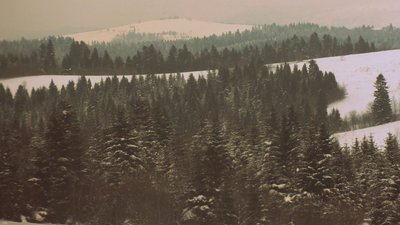 Як у казці: Карпати засніжило (ФОТОРЕПОРТАЖ)