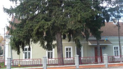 Скандал у Жидачівській музичній школі. Керівництво звинувачують у махінаціях із зарплатнею
