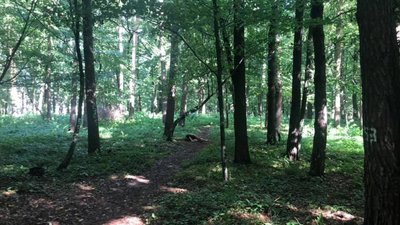 У Брюховицькому парку знайшли тіло чоловіка (ФОТО)