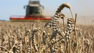 Аграрії Львівщини отримали відшкодувань за кредитами на 6,3 млн грн