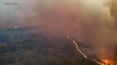 Пожежа в Чорнобильській зоні: вогонь впритул наблизився до АЕС (ВІДЕО)