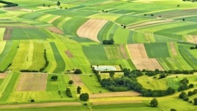 На Львівщині завдяки прокуратурі громадою набуто у власність понад 12 га земель вартістю 8,5 млн грн