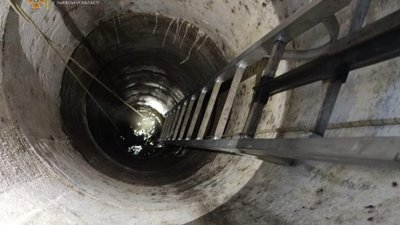 У Пустомитах собака впала у криницю