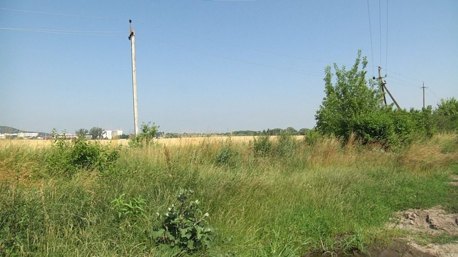 У селі на Львівщині поле підтоплює нечистотами