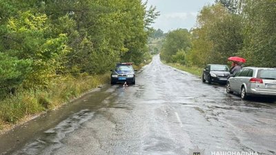 На Львівщині водій вбив чоловіка і втік