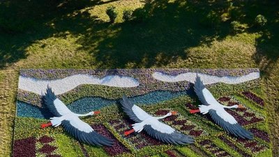 У Києві на Берестейському проспекті з'явилося панно із лелеками (ФОТО)