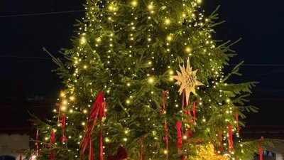 У Львові поставили ще одну ялинку