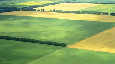 Ціна 1 гектара землі може сягнути 50-60 тисяч гривень