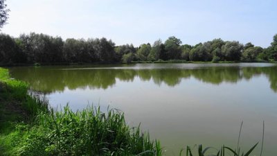На Львівщині відбудеться аукціон з продажу ставків у чотирьох районах області