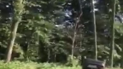 На Львівщині перекинувся автомобіль (ВІДЕО)