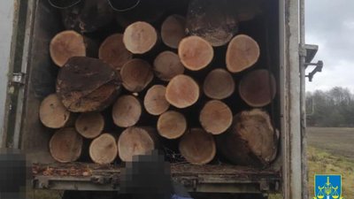 Миколаївське підприємство відшкодує 200 тис грн у місцевий бюджет за незаконну порубку лісу