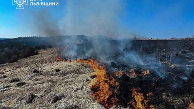 На Львівщині палять суху траву